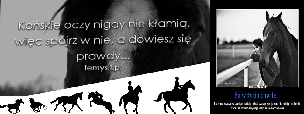 Świat koni 